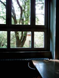 Bibliothek von IÜD und IDF